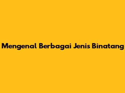 Mengenal Berbagai Jenis Binatang