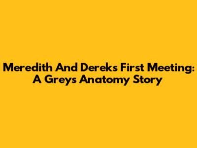 Meredith And Derek's First Meeting: A Grey's Anatomy Story