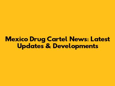 Mexico Drug Cartel News: Latest Updates & Developments