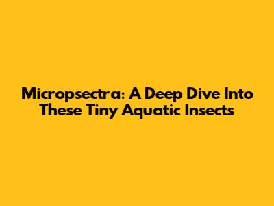Micropsectra: A Deep Dive Into These Tiny Aquatic Insects
