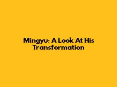 Mingyu: A Look At His Transformation