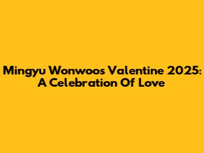 Mingyu Wonwoo's Valentine 2025: A Celebration Of Love