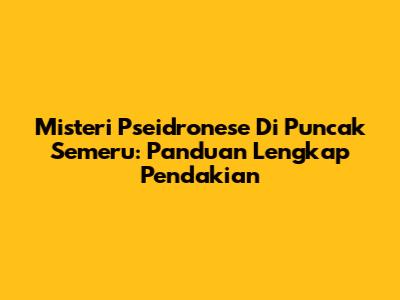 Misteri Pseidronese Di Puncak Semeru: Panduan Lengkap Pendakian