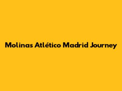 Molina's Atlético Madrid Journey
