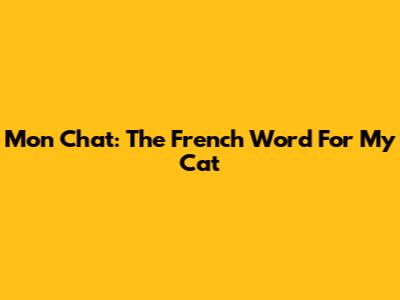 Mon Chat: The French Word For "My Cat"
