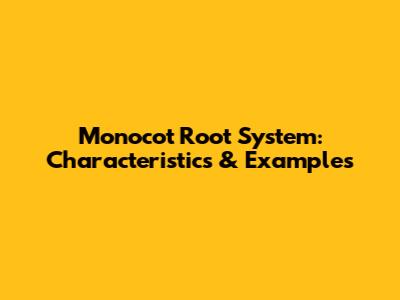 Monocot Root System: Characteristics & Examples