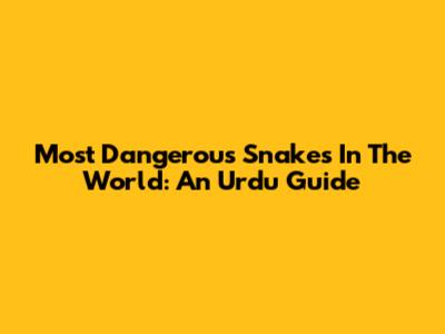 Most Dangerous Snakes In The World: An Urdu Guide