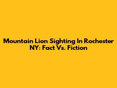 Mountain Lion Sighting In Rochester NY: Fact Vs. Fiction