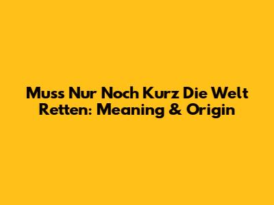 Muss Nur Noch Kurz Die Welt Retten: Meaning & Origin