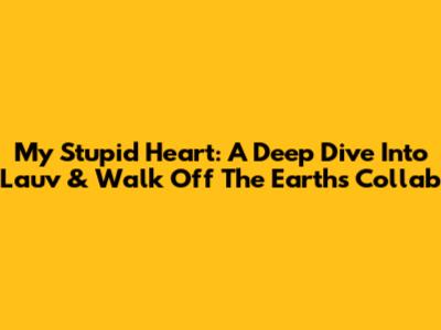 My Stupid Heart: A Deep Dive Into Lauv & Walk Off The Earth's Collab