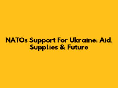 NATO's Support For Ukraine: Aid, Supplies & Future