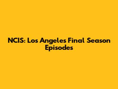 NCIS: Los Angeles Final Season Episodes