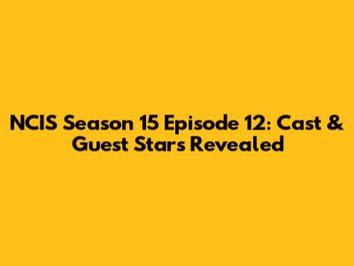 NCIS Season 15 Episode 12: Cast & Guest Stars Revealed