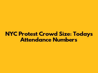 NYC Protest Crowd Size: Today's Attendance Numbers