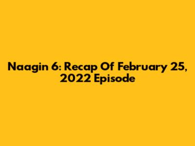 Naagin 6: Recap Of February 25, 2022 Episode
