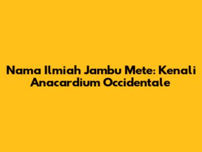 Nama Ilmiah Jambu Mete: Kenali Anacardium Occidentale