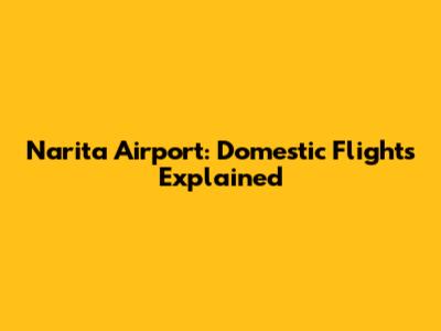 Narita Airport: Domestic Flights Explained