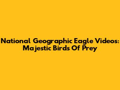 National Geographic Eagle Videos: Majestic Birds Of Prey