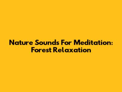 Nature Sounds For Meditation: Forest Relaxation
