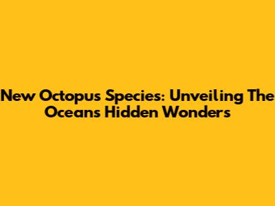 New Octopus Species: Unveiling The Ocean's Hidden Wonders