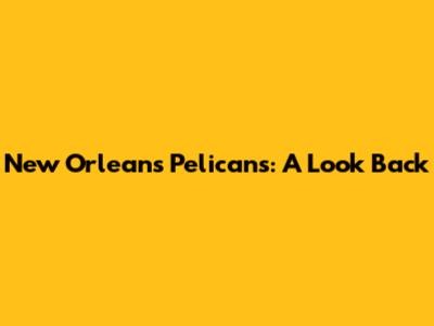 New Orleans Pelicans: A Look Back