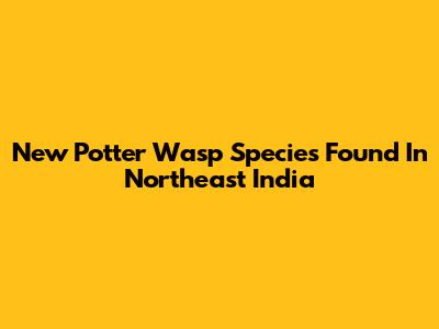 New Potter Wasp Species Found In Northeast India