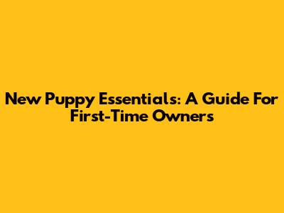 New Puppy Essentials: A Guide For First-Time Owners