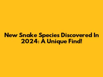 New Snake Species Discovered In 2024: A Unique Find!