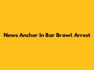 News Anchor In Bar Brawl Arrest