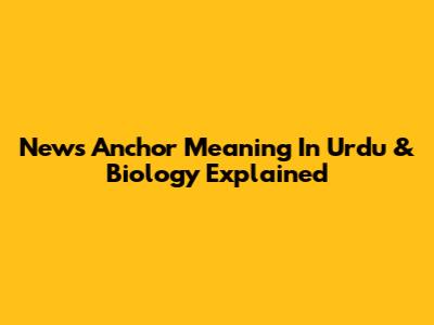 News Anchor Meaning In Urdu & Biology Explained