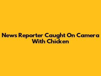News Reporter Caught On Camera With Chicken