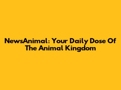 NewsAnimal: Your Daily Dose Of The Animal Kingdom