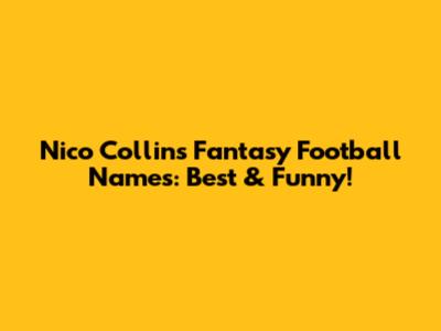 Nico Collins Fantasy Football Names: Best & Funny!