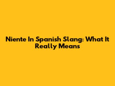 Niente In Spanish Slang: What It Really Means