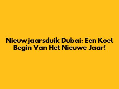 Nieuwjaarsduik Dubai: Een Koel Begin Van Het Nieuwe Jaar!