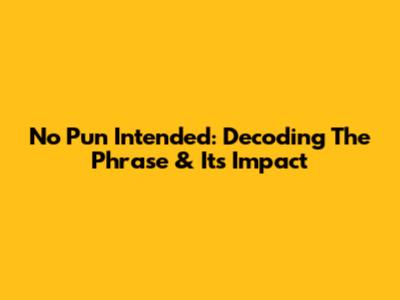 No Pun Intended: Decoding The Phrase & Its Impact