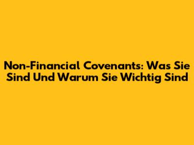 Non-Financial Covenants: Was Sie Sind Und Warum Sie Wichtig Sind