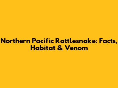 Northern Pacific Rattlesnake: Facts, Habitat & Venom