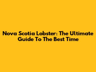 Nova Scotia Lobster: The Ultimate Guide To The Best Time