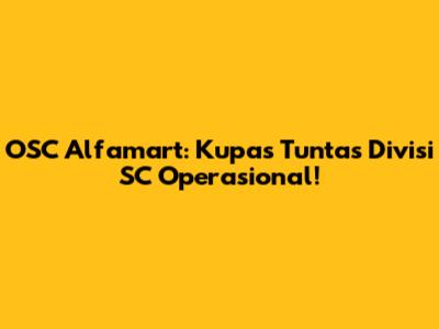 OSC Alfamart: Kupas Tuntas Divisi SC Operasional!