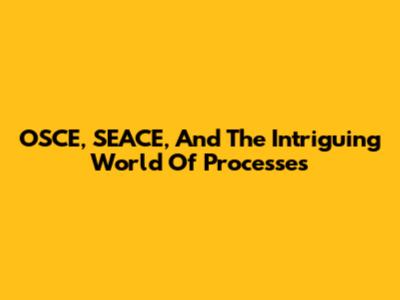 OSCE, SEACE, And The Intriguing World Of Processes