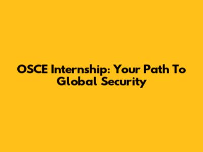 OSCE Internship: Your Path To Global Security