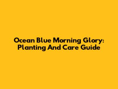 Ocean Blue Morning Glory: Planting And Care Guide