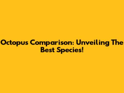 Octopus Comparison: Unveiling The Best Species!