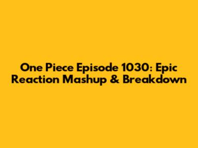 One Piece Episode 1030: Epic Reaction Mashup & Breakdown