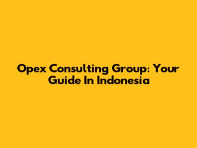 Opex Consulting Group: Your Guide In Indonesia