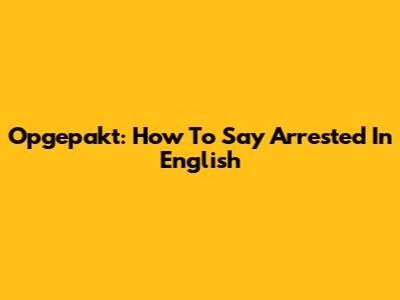 Opgepakt: How To Say 'Arrested' In English