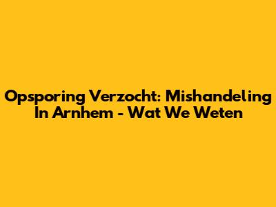 Opsporing Verzocht: Mishandeling In Arnhem - Wat We Weten