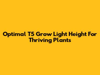 Optimal T5 Grow Light Height For Thriving Plants
