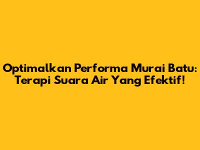 Optimalkan Performa Murai Batu: Terapi Suara Air Yang Efektif!